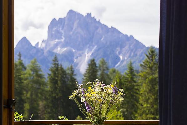 Glögglhof - Zimmer & Wohnungen Photo