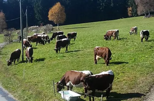 Veiderhof - Liste Photo