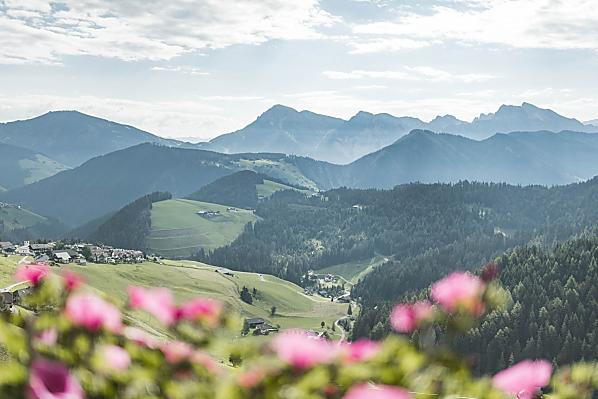 Fornellahof - La Majun - Zimmer & Wohnungen Photo