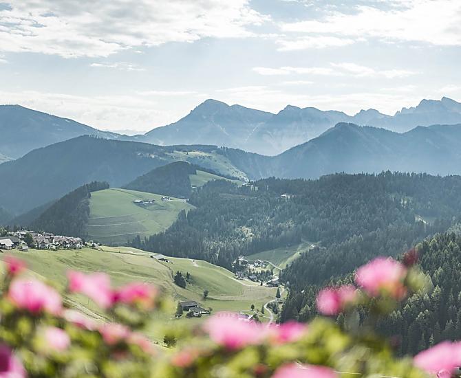 Fornellahof - La Majun - Bildergalerie Photo