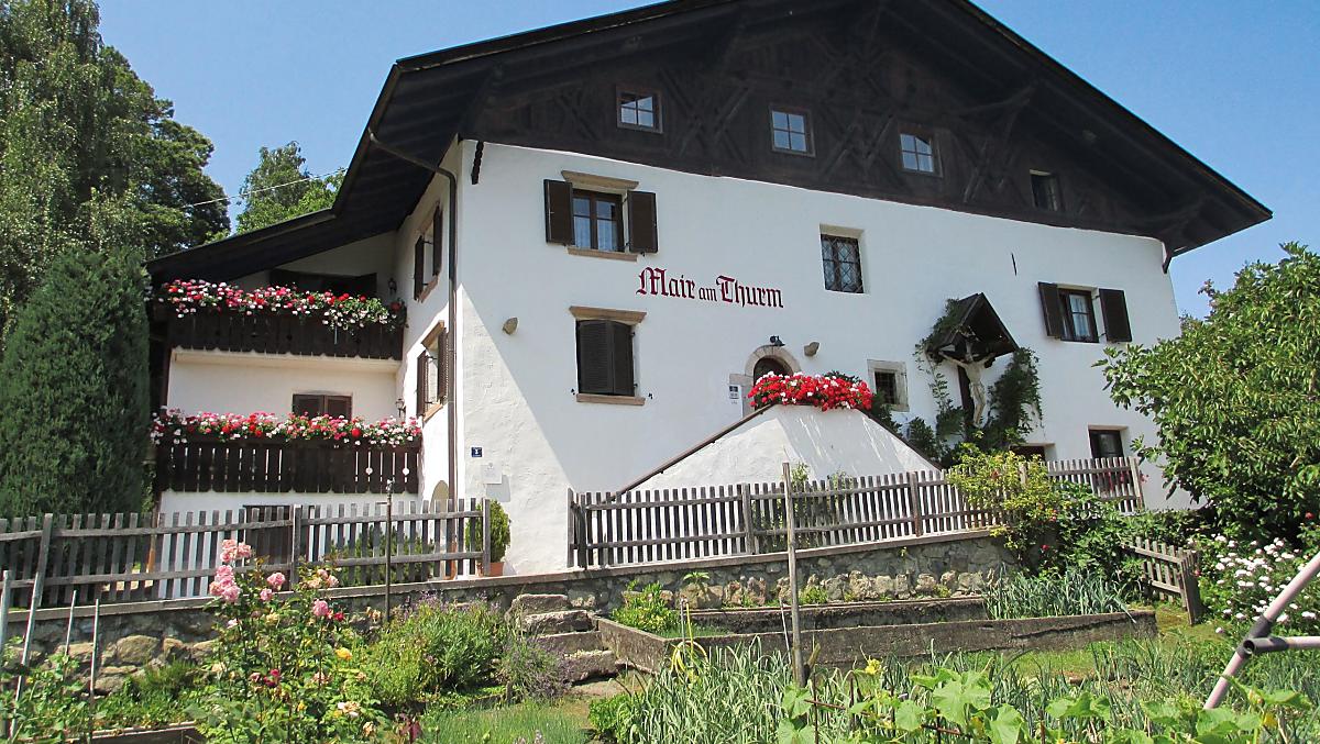Mair am Turm - Bildergalerie Photo