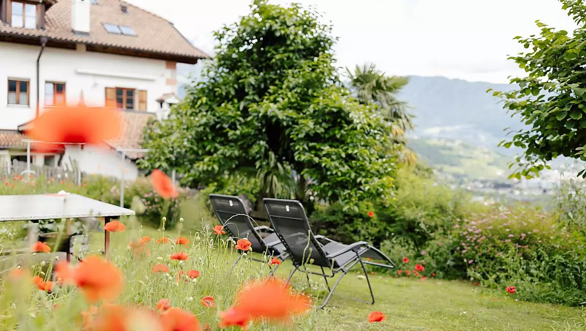 Hofer am Bach - Bildergalerie Photo