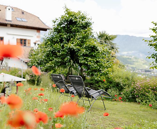Hofer am Bach - Bildergalerie Photo