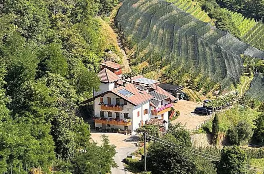 Benvenuti al Törggelehof, situato in posizione soleggiata e appartata sulla collina sopra Lana, a poca distanza dalla città termale di Merano.