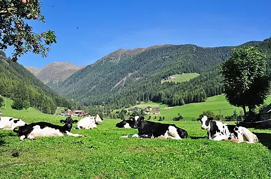 Leimgruberhof - Liste Photo