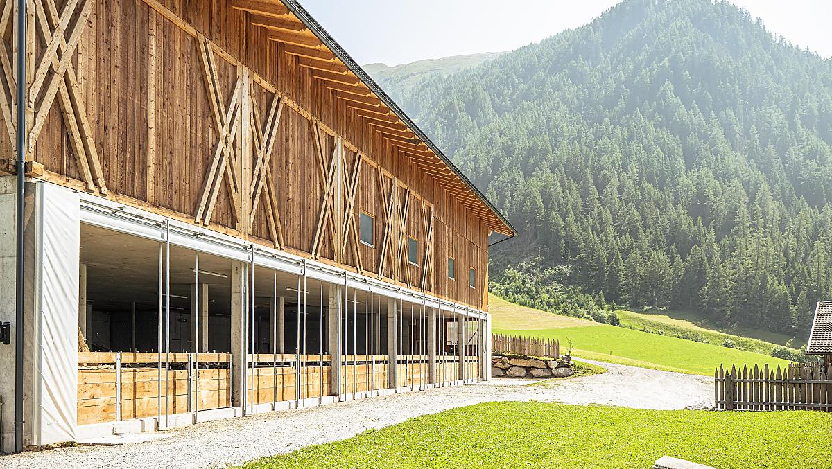 Il nuovo edificio agricolo, costruito nel 2023, con fienile e stalla a stabulazione libera, offre ampi spazi per i nostri giovani bovini.