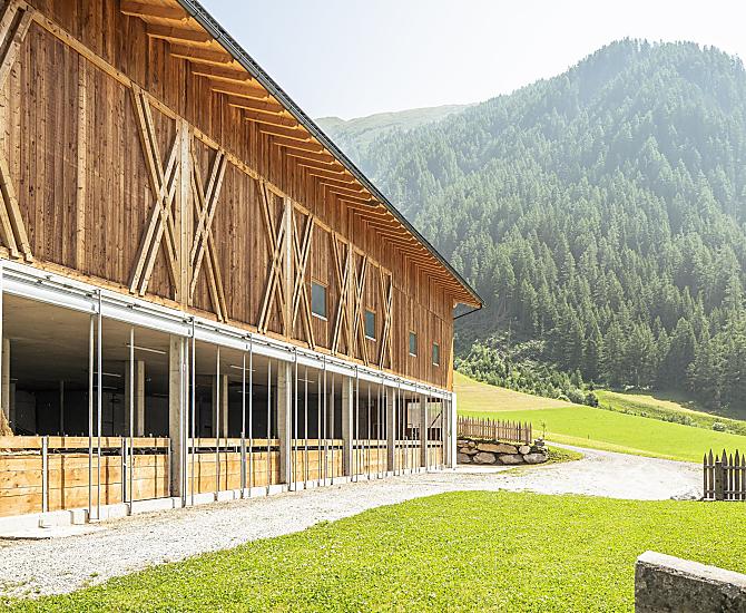 Il nuovo edificio agricolo, costruito nel 2023, con fienile e stalla a stabulazione libera, offre ampi spazi per i nostri giovani bovini.