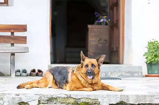 Haspingerhof - Liste Photo