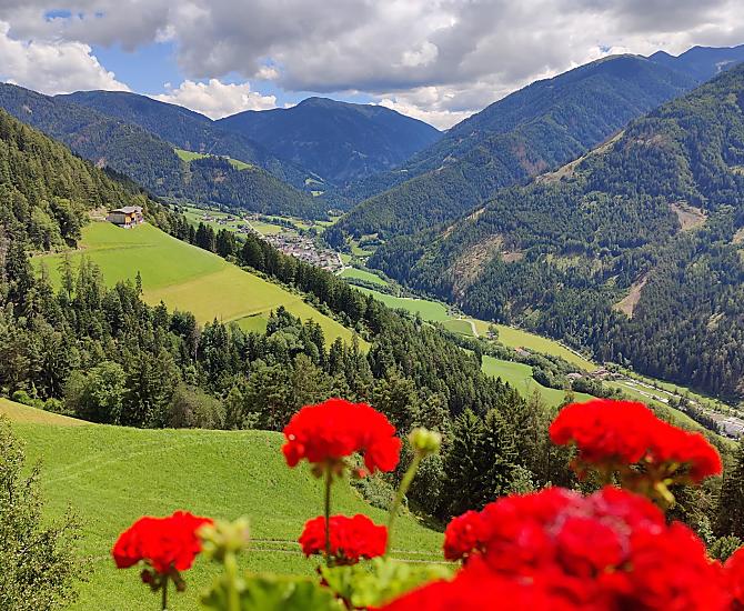 Plansol-Hof - Bildergalerie Photo