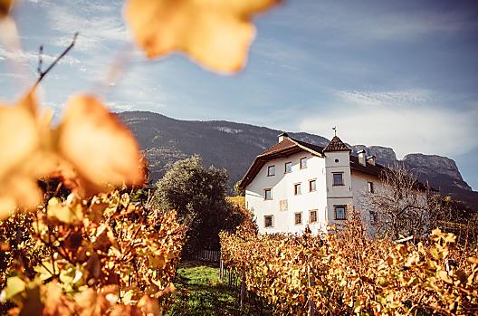 Weinhof Von Payr - Liste Photo