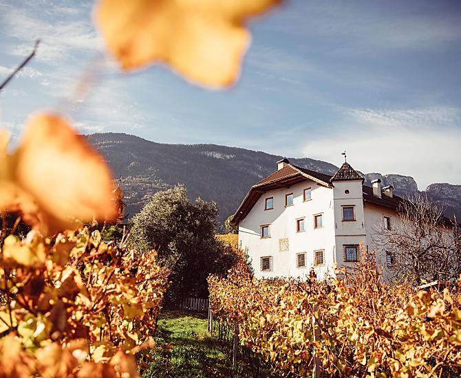 Weinhof Von Payr - Bildergalerie Photo