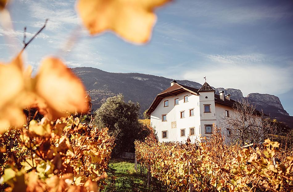 Weinhof Von Payr - Bildergalerie Photo