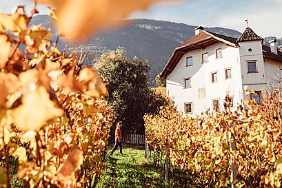 Weinhof Von Payr - Hofprodukte Photo