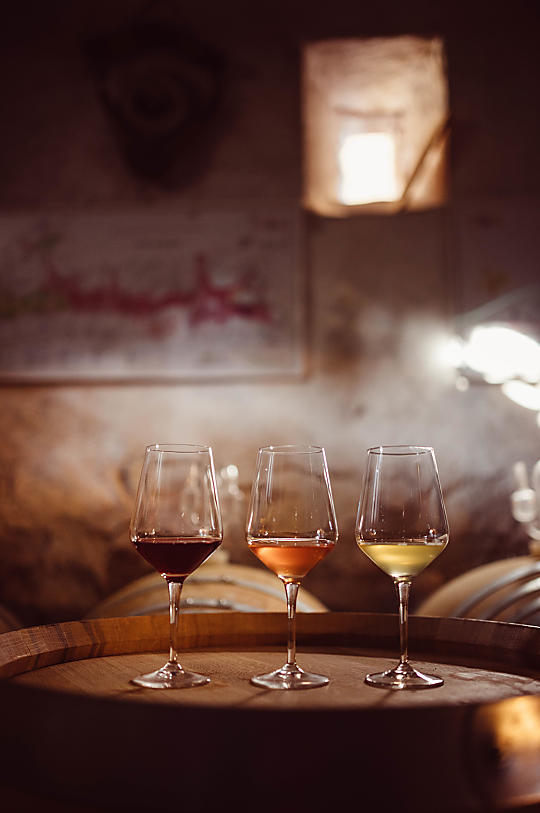 Weinhof Von Payr - Hofprodukte Photo