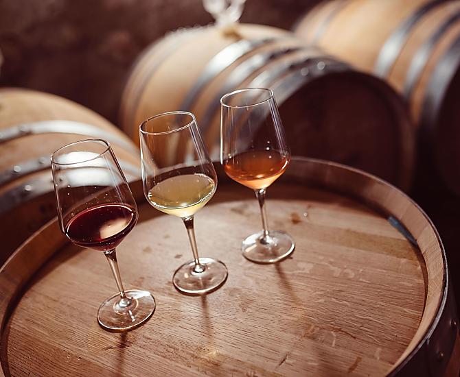 Weinhof Von Payr - Bildergalerie Photo