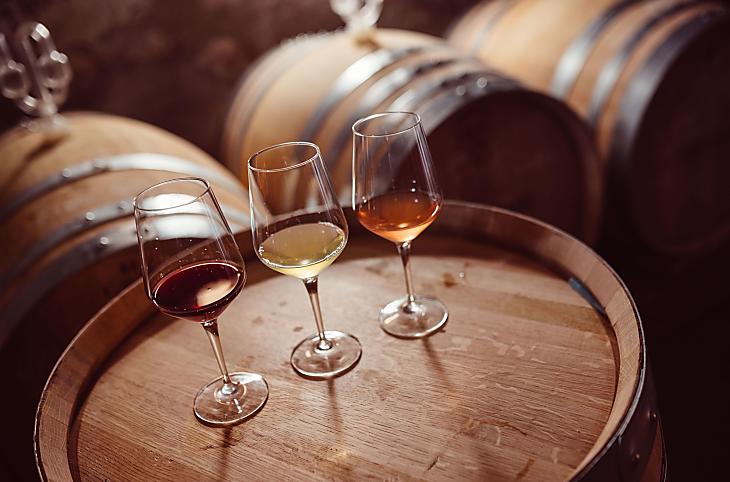 Weinhof Von Payr - Bildergalerie Photo