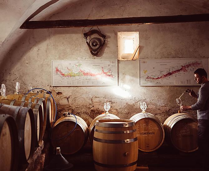 Weinhof Von Payr - Bildergalerie Photo