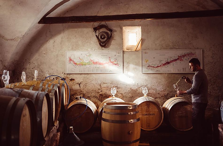 Weinhof Von Payr - Bildergalerie Photo