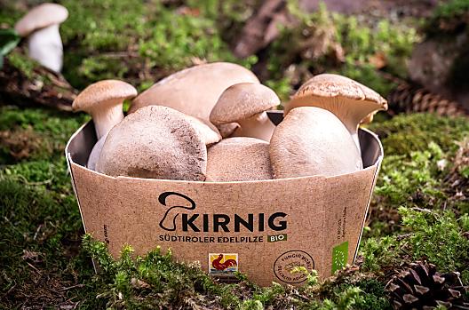 Kirnig - Liste Photo