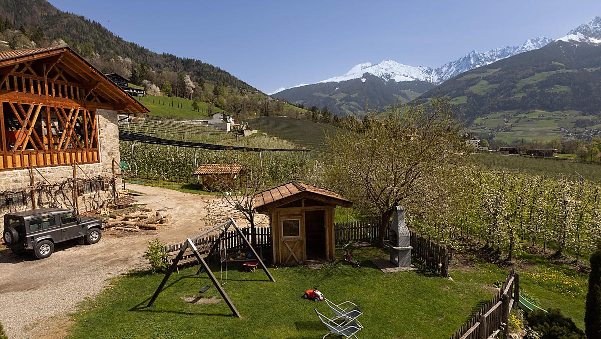 Platterhof - Bildergalerie Photo
