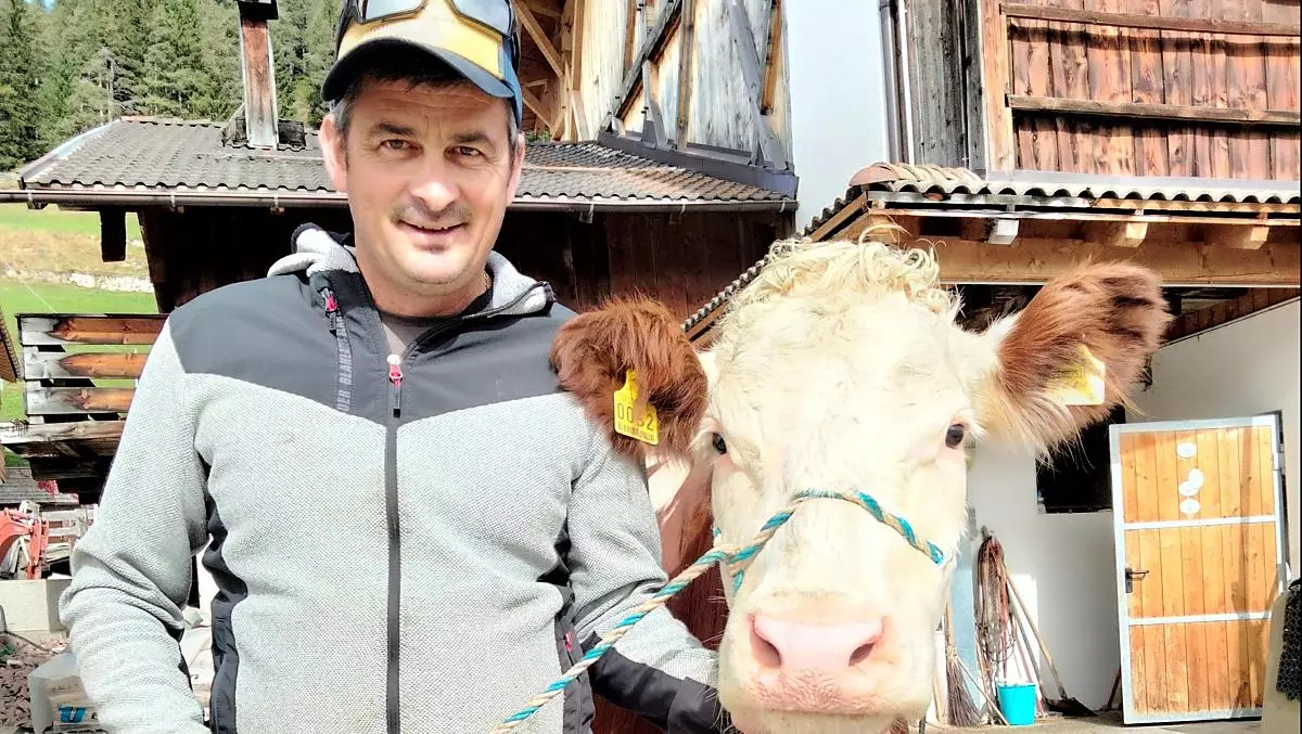 Pronti per la transumanza estiva