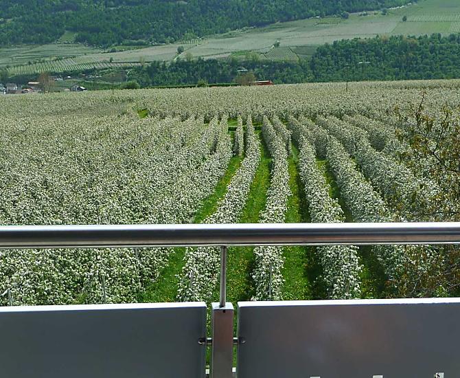 Waalhof - Bildergalerie Photo