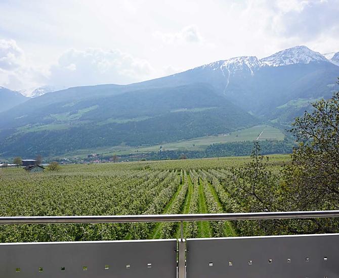 Waalhof - Bildergalerie Photo