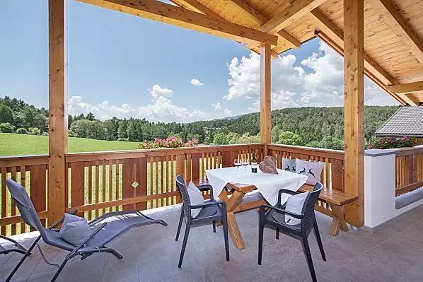 Radauerhof - Zimmer & Wohnungen Photo