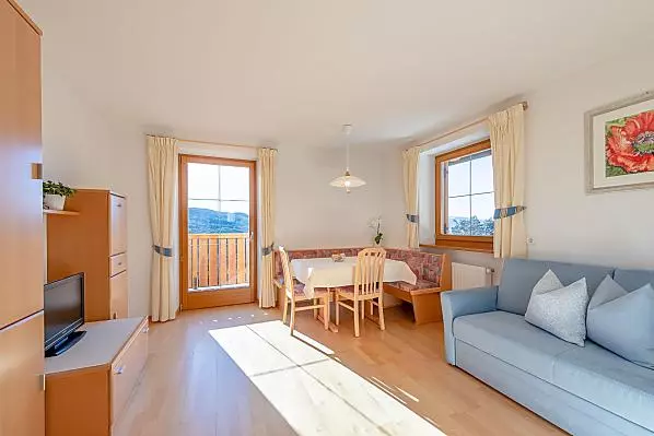 Lanerhof - Zimmer & Wohnungen Photo