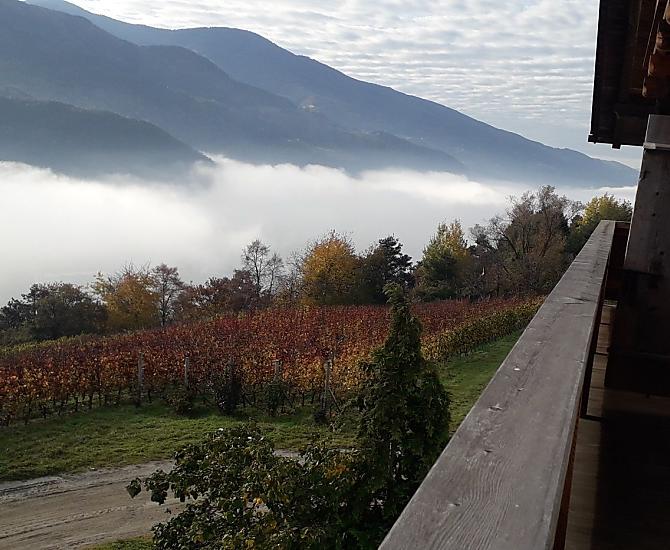 Herbstliche Aussicht vom Balkon