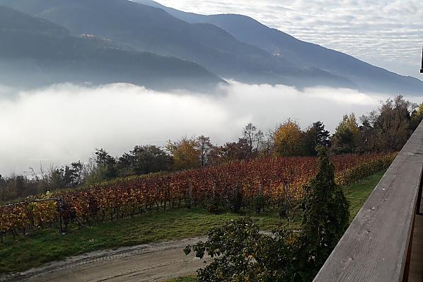 Herbstliche Aussicht vom Balkon