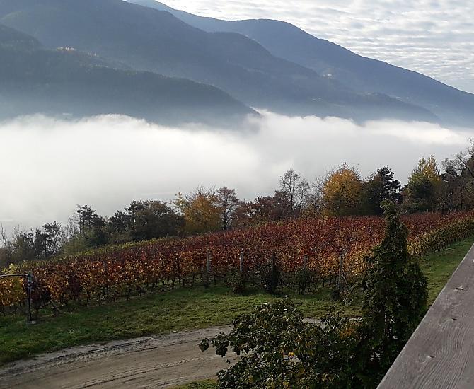 Herbstliche Aussicht vom Balkon