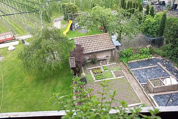 Gruberhof - Zimmer & Wohnungen Photo