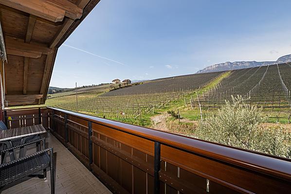 Lanserhof - Zimmer & Wohnungen Photo