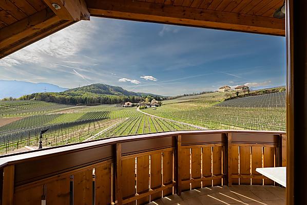 Lanserhof - Zimmer & Wohnungen Photo