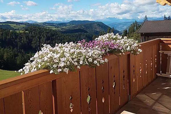 Oberbühlhof - Zimmer & Wohnungen Photo