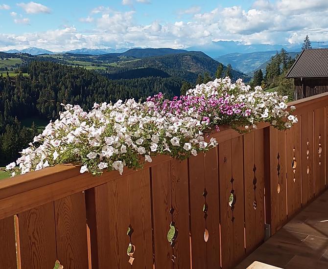Oberbühlhof - Bildergalerie Photo