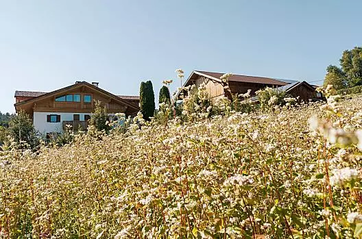 Haflingerhof - Liste Photo