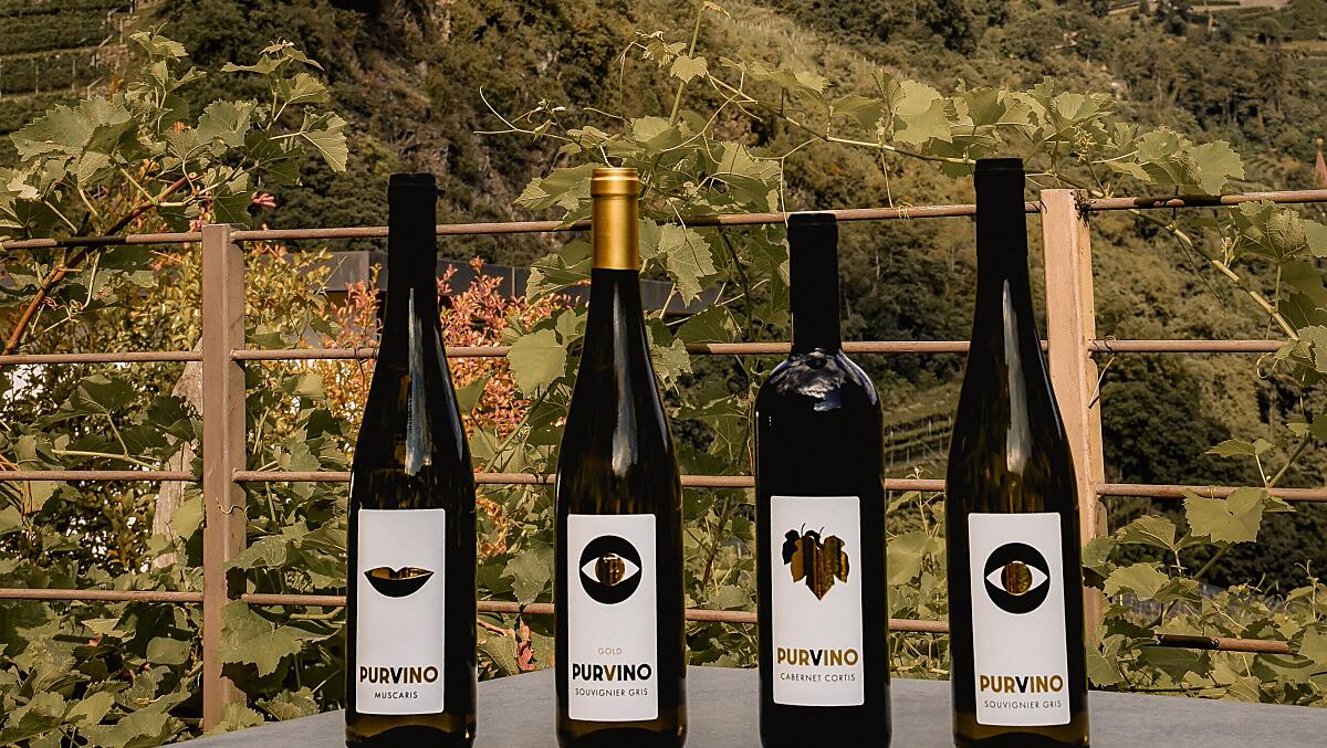 Purvino: vini PIWI (Souvignier Gris, Muscaris, Cabernet Cortis)