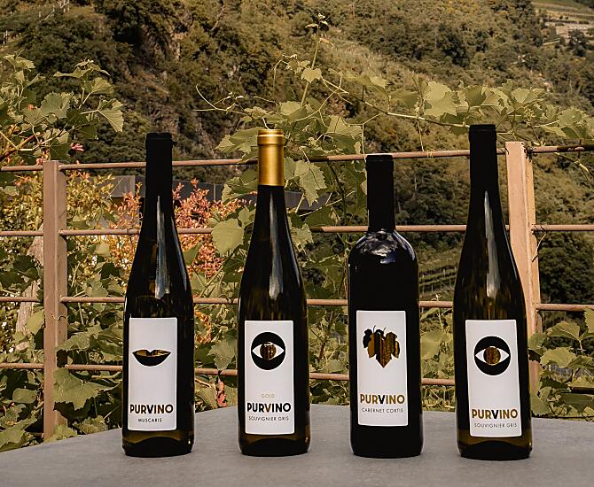 Purvino: vini PIWI (Souvignier Gris, Muscaris, Cabernet Cortis)