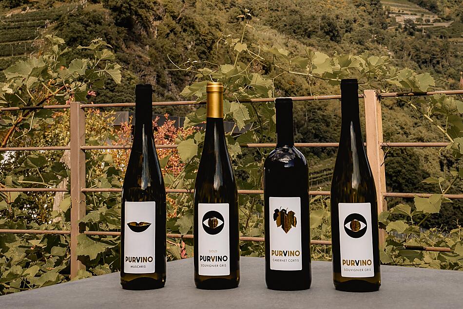 Purvino: vini PIWI (Souvignier Gris, Muscaris, Cabernet Cortis)