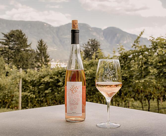 Rosé di Schiava