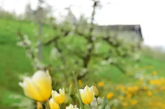 Oberlinterhof - Liste Photo