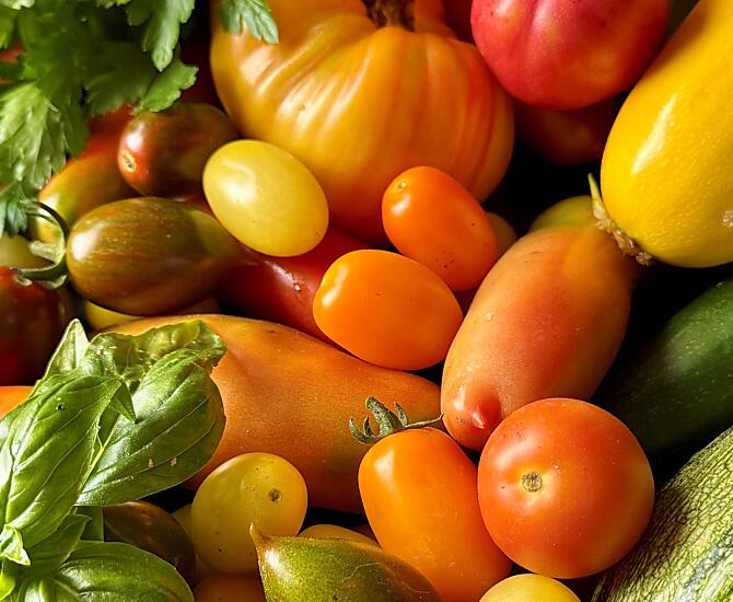 Erbe aromatiche fresche e verdure di stagione direttamente dall’orto del maso