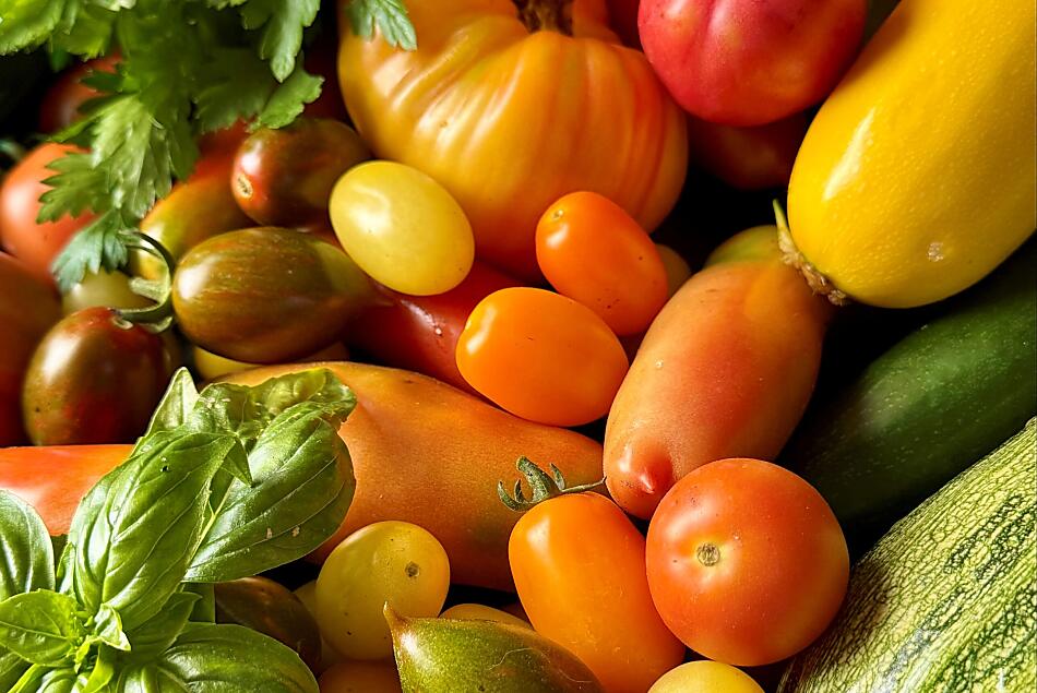 Erbe aromatiche fresche e verdure di stagione direttamente dall’orto del maso
