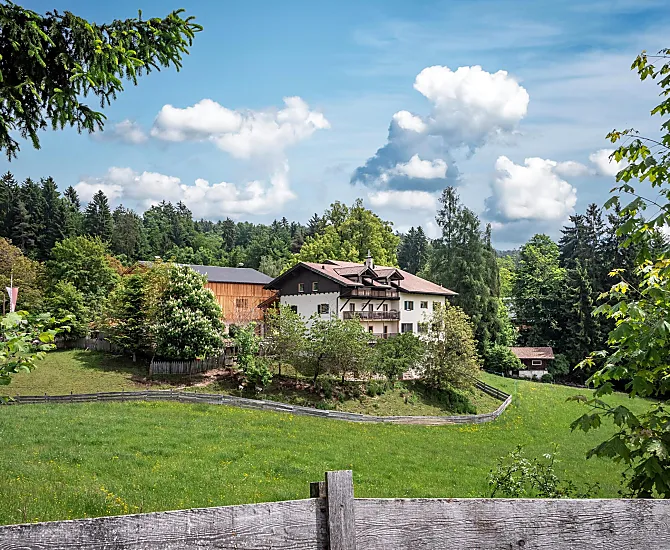 Wieserhof - Bildergalerie Photo