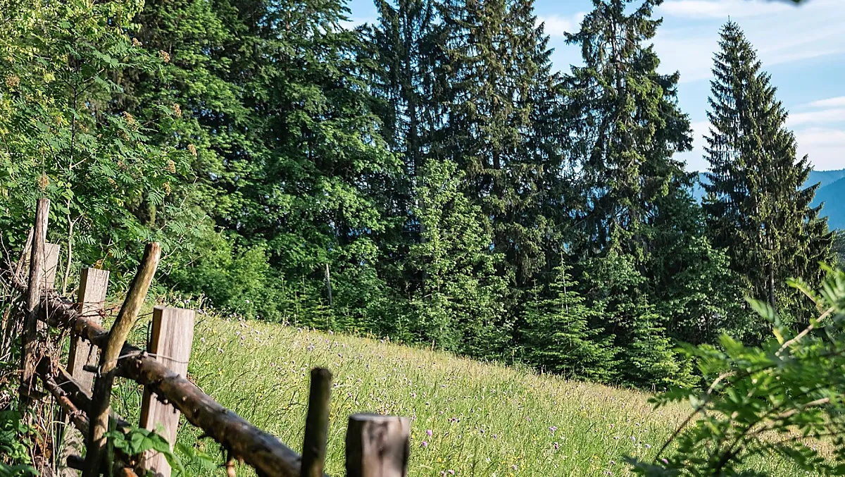 Wieserhof - Bildergalerie Photo