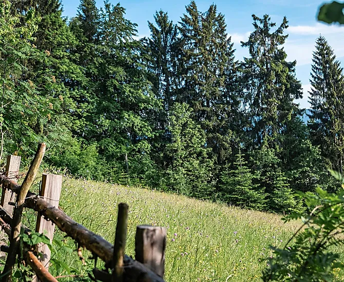 Wieserhof - Bildergalerie Photo