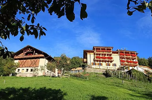 Kinnhof - Liste Photo