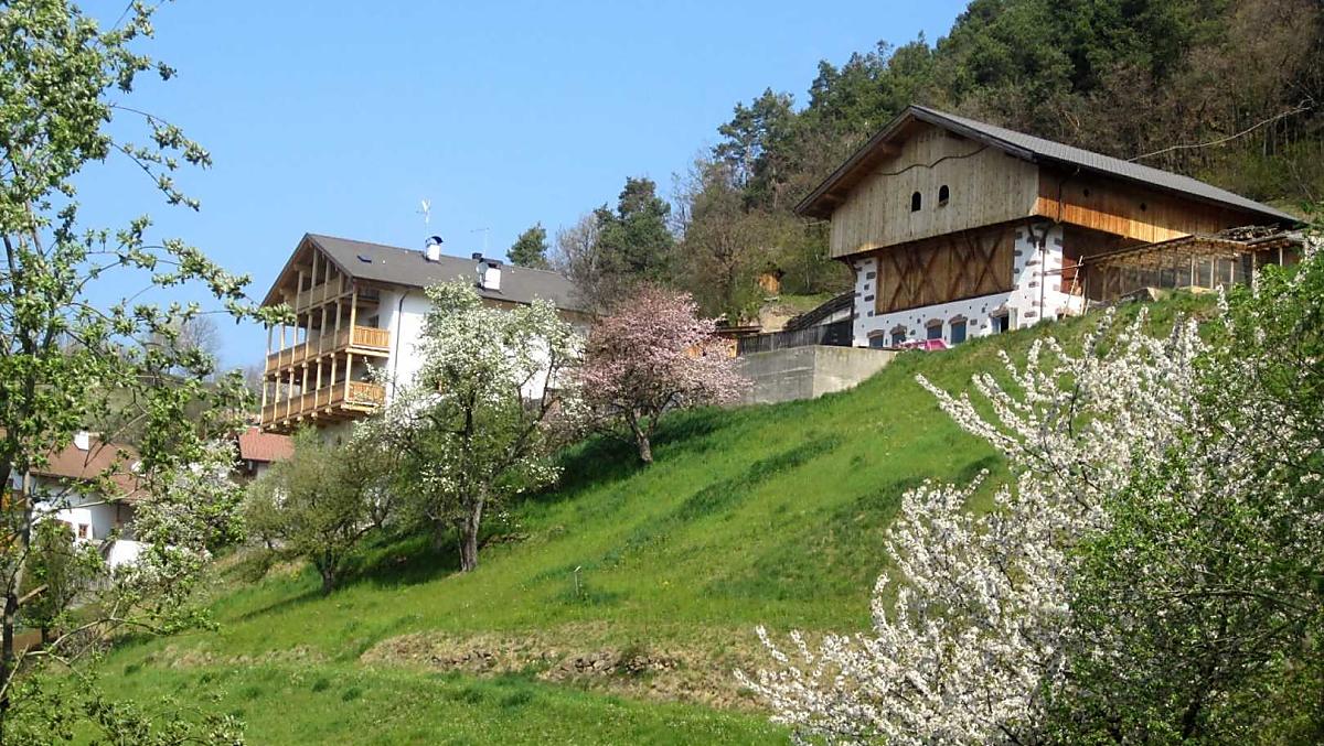 Zolthof - Bildergalerie Photo